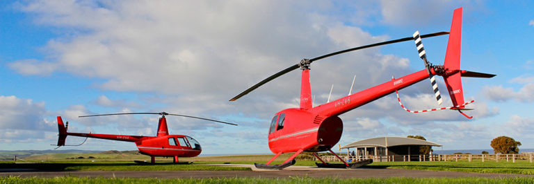 robinson r44 motor